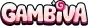 Gambiva Casino Logo